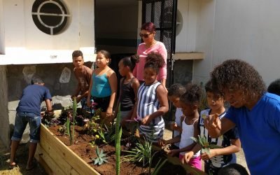 Jardin partagé – SHLMR – Quartier Rose des vents