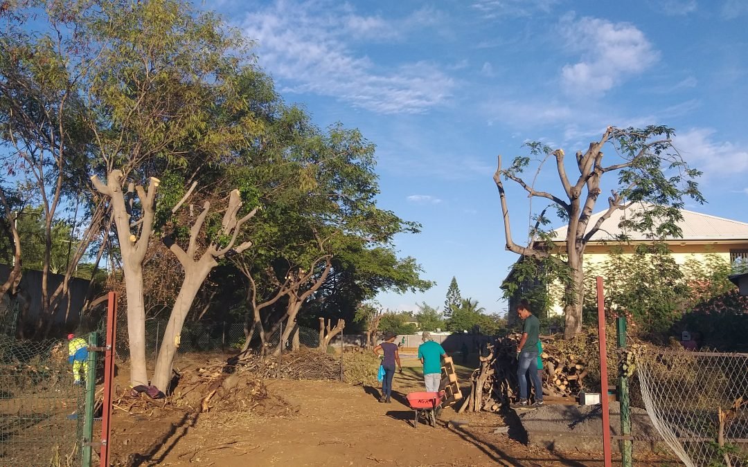 Implantation du Siège de l&rsquo;Association An Grèn Koulèr – Le Jardin Urbain – début 2019