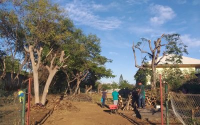 Implantation du Siège de l&rsquo;Association An Grèn Koulèr – Le Jardin Urbain – début 2019