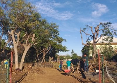Implantation du Siège de l&rsquo;Association An Grèn Koulèr – Le Jardin Urbain – début 2019