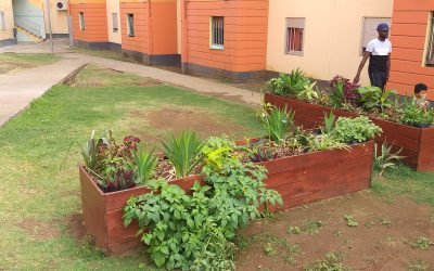 Jardin partagé – Embellissement de la cité Saint Exupéry