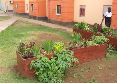 Jardin partagé – Embellissement de la cité Saint Exupéry
