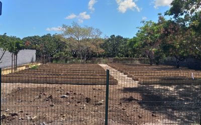 Jardin partagé – Quartier Citron Galets