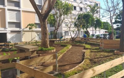 Jardin partagé – SHLMR – ZUP 1