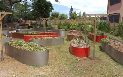 L&rsquo;Association An Grèn Koulèr – Le Jardin Urbain – Journée SIAE – 2021