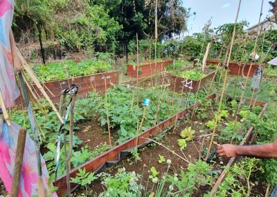 Jardin partagé – La Ravine la fleur