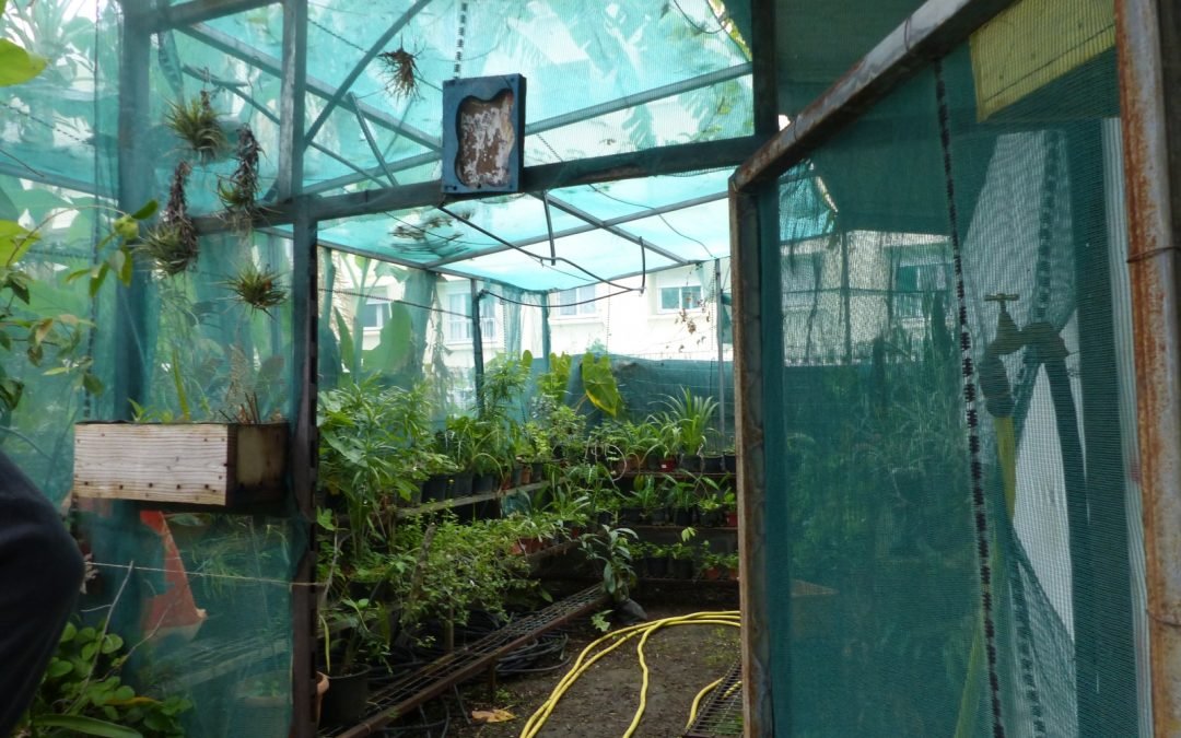 Micro Pépinière – Mont Fleuri