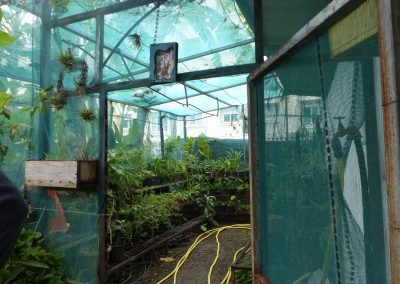 Micro Pépinière – Mont Fleuri