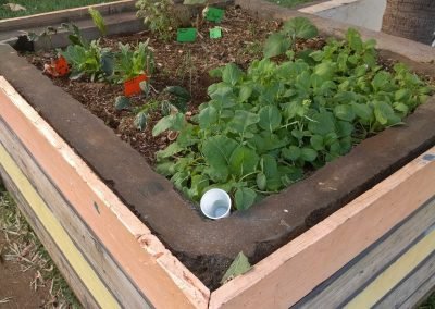 Jardin partagé –  Quartier Héliotrope