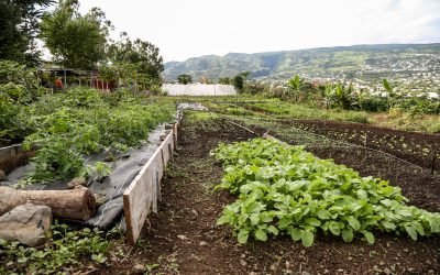 L&rsquo;ACI : Porte du Pays de Mafate – Chantier d&rsquo;Insertion Social et professionnel – 2013/2015