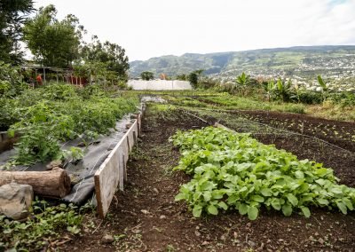 L&rsquo;ACI : Porte du Pays de Mafate – Chantier d&rsquo;Insertion Social et professionnel – 2013/2015