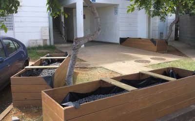 Jardin partagé – SHLMR – Hibiscus