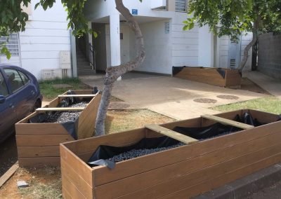 Jardin partagé – SHLMR – Hibiscus