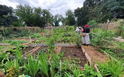 Jardin partagé –  Anchaing