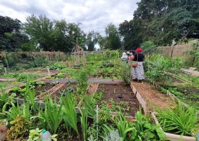 Jardin partagé –  Anchaing