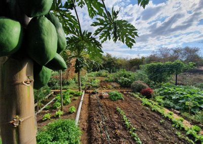 Jardin Partagé – Camp Magloire