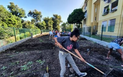 Jardin Partagé – Cité Melchior – 2022
