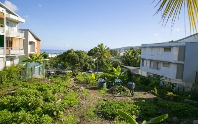 Jardin partagé des Fleurs Jaunes