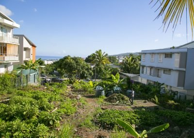 Jardin partagé des Fleurs Jaunes