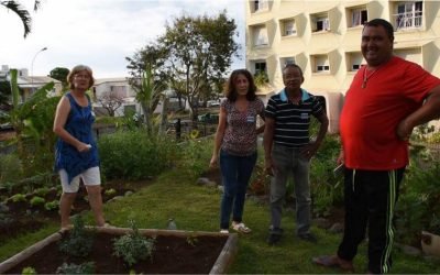 Jardin partagé ZUP 1 et 4 – La ZUP Mon ché moin !