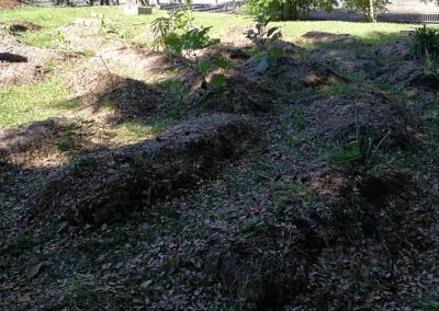 Jardin Scolaire – Ecole Francis Rivière