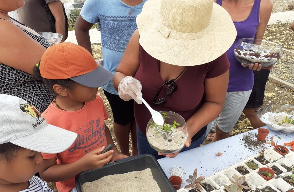 Les Animations – Conception Terrarium scolaires – 2019