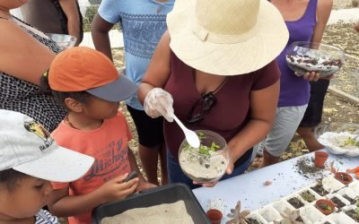 Les Animations – Conception Terrarium scolaires – 2019