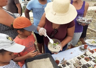 Les Animations – Conception Terrarium scolaires – 2019