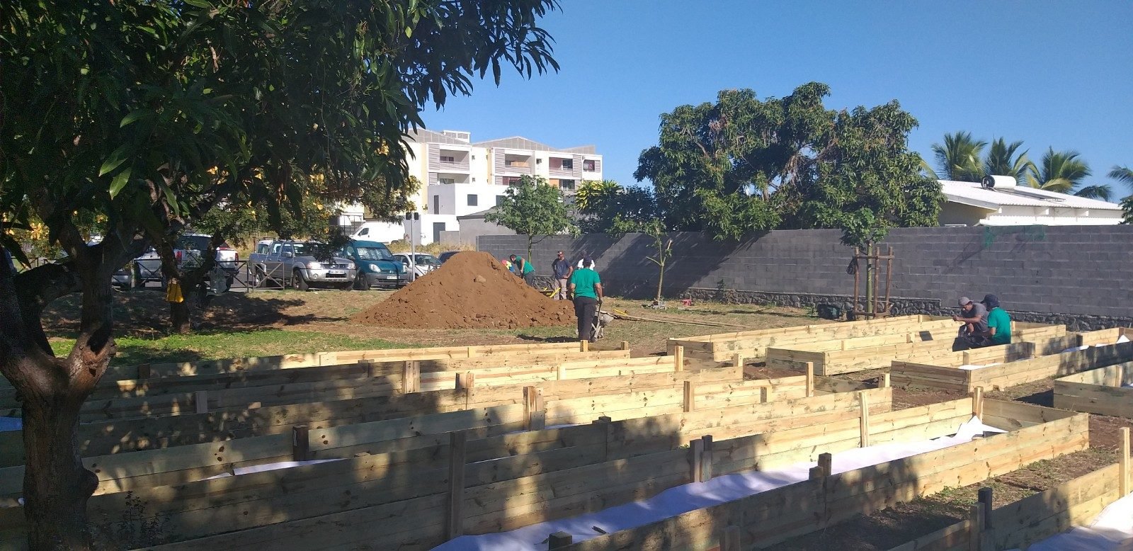 Jardin citrons 1 galets riviere des galets juillet 2019
