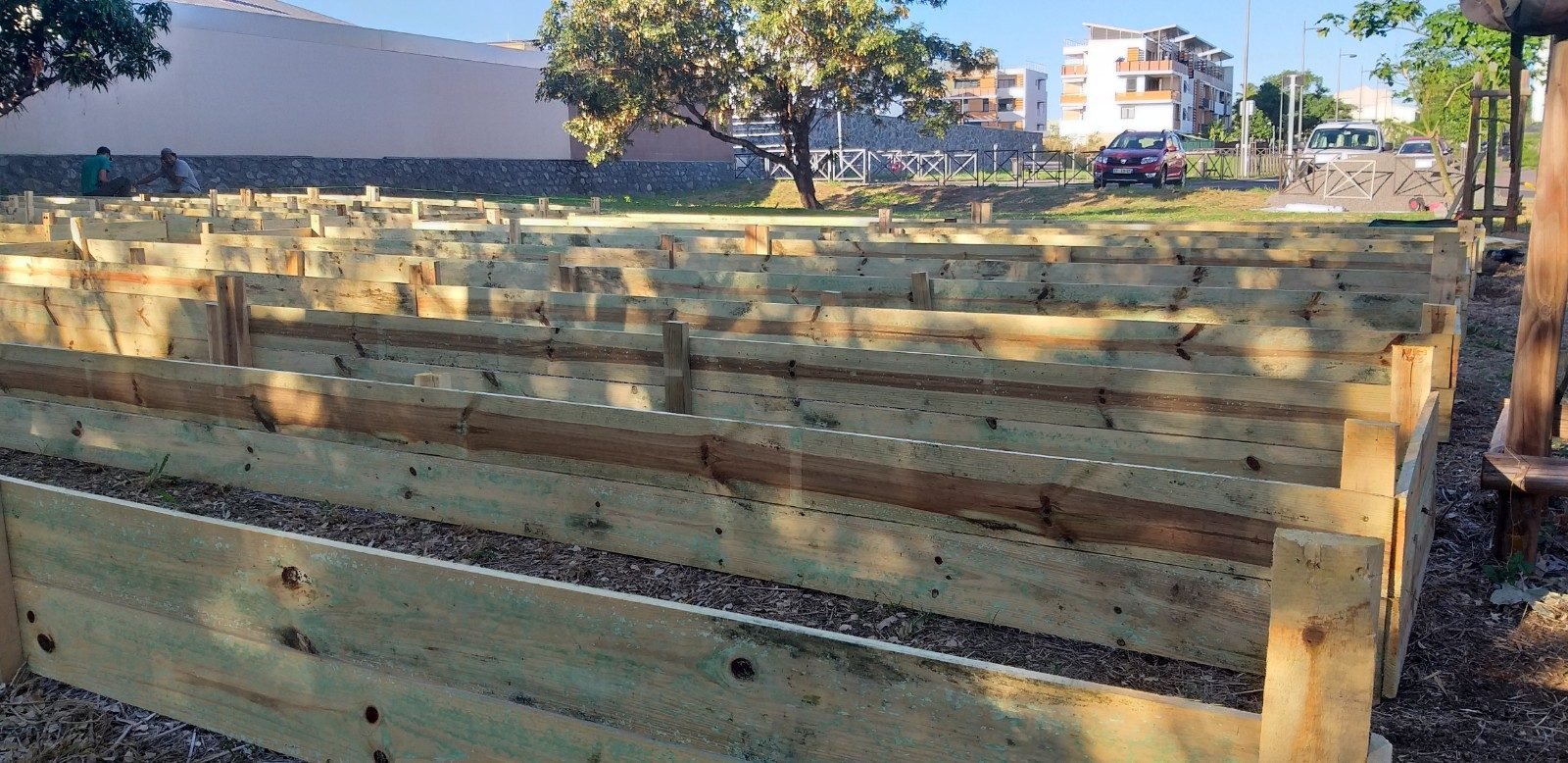 Jardin citrons 2galets riviere des galets juillet 2019