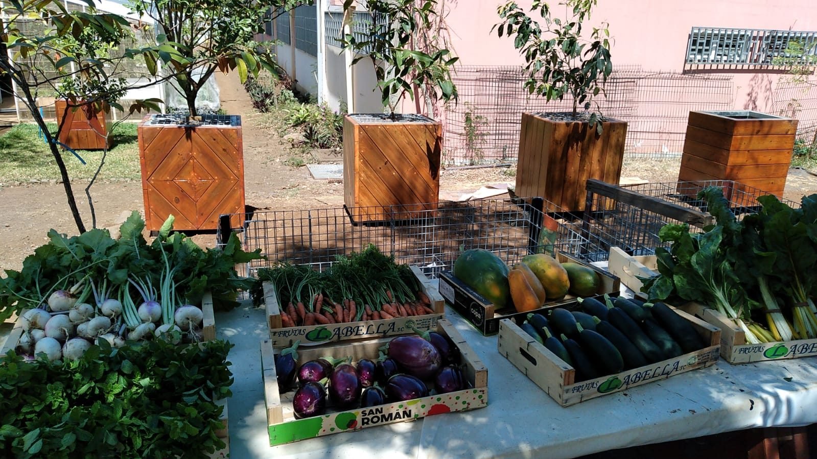 Fruitiers nomades3et petits marche