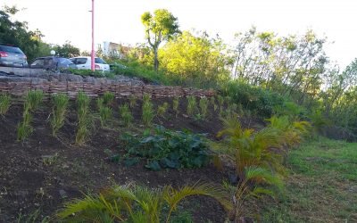 Jardin partagé et îlots de convivialité – SHLMR – Lotissement Froton