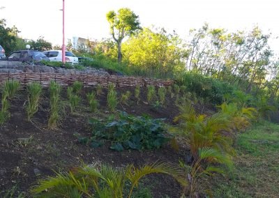 Jardin partagé et îlots de convivialité – SHLMR – Lotissement Froton