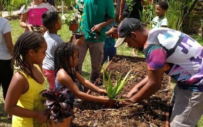 Jardin d&rsquo;agrément – Rivière des Galets : Action Coccinelle Cité Carambole, Ti carré, Jacques Ducros, Belakoun
