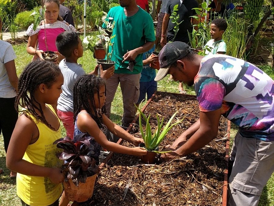 Jardin d&rsquo;agrément – Rivière des Galets : Action Coccinelle Cité Carambole, Ti carré, Jacques Ducros, Belakoun