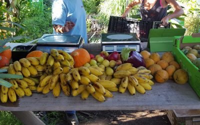 Certification Agriculture Biologique Certipaq Bio