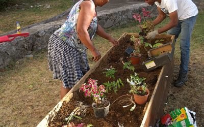 Jardin partagé – SEMADER – Quartier Titan