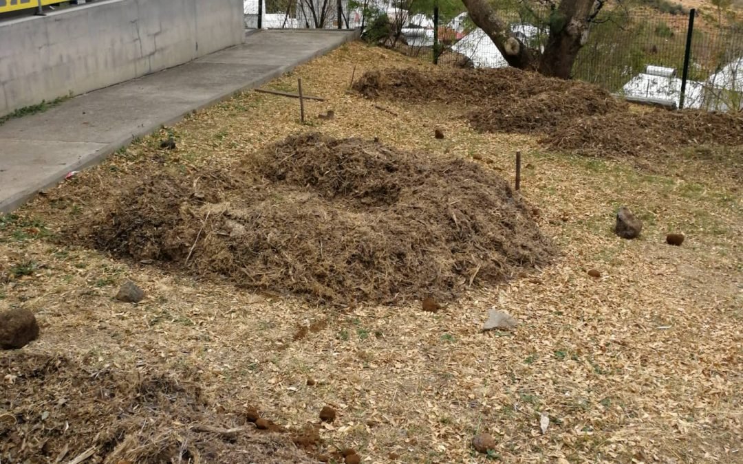 Jardin Scolaire – Ecole Adèle Ferrant