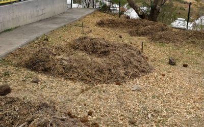 Jardin Scolaire – Ecole Adèle Ferrant